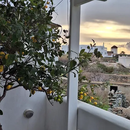 Vakantiehuis Summer House 2 *