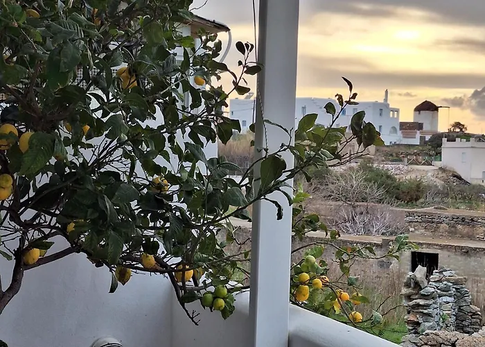 Vakantiehuis Summer House 2 *